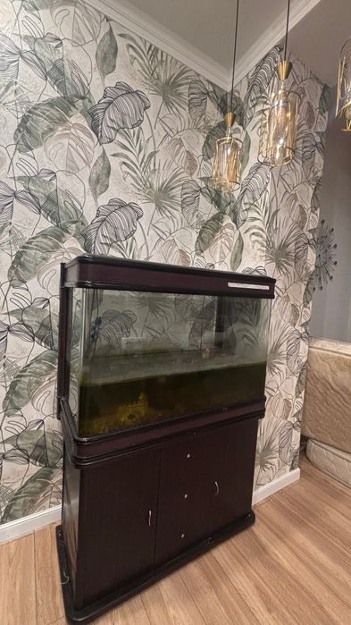 Отдам Аквариум большой