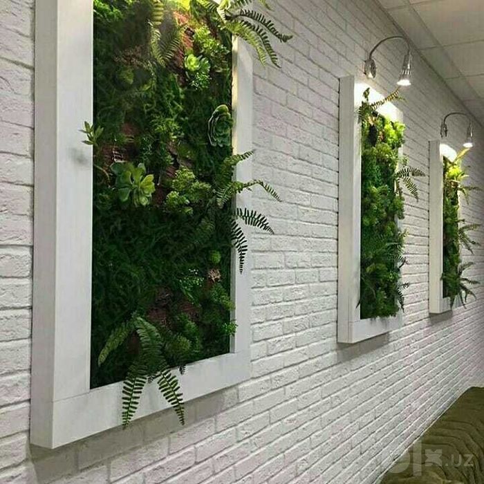 Мох и Искусственные Растения