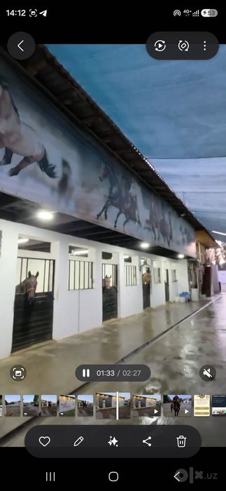 Ferma sotiladi tayyor biznes uchun joy ishlab turgan Ot prakat