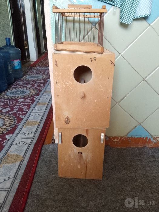 Продаётся попугаи 2 шт