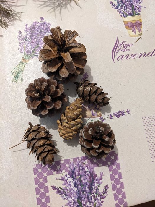 Клонки мъх жълъди шишарки за декоразия