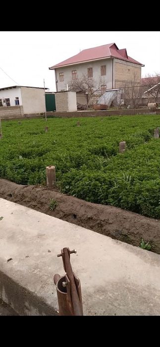 Кармана эски шахар ховли