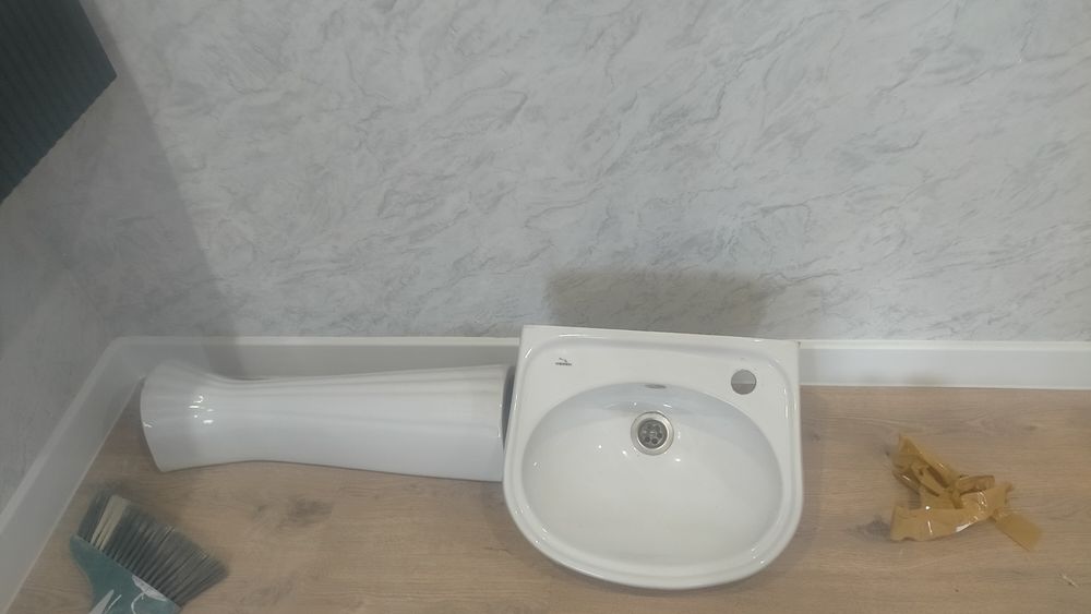 Продается раквина тюльпан