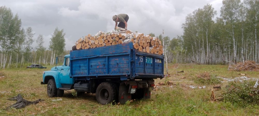 Продам дрова березовые швырок