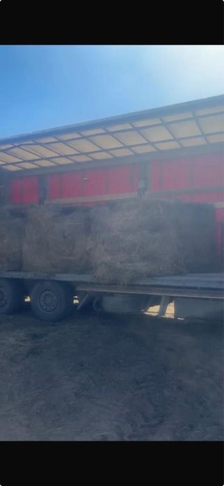 Продам сено в рулонах. Есть доставка.