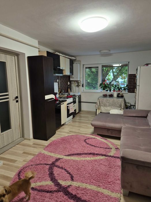 De vanzare -apartament cu 1 camera