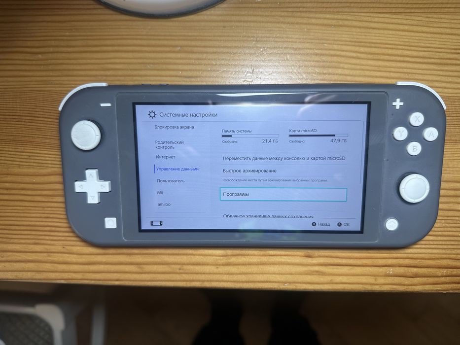 Nintendo Switch Lite Gray