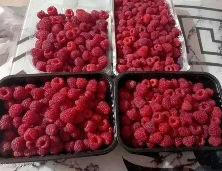 В продаже малина, сорт Шапка Мономаха