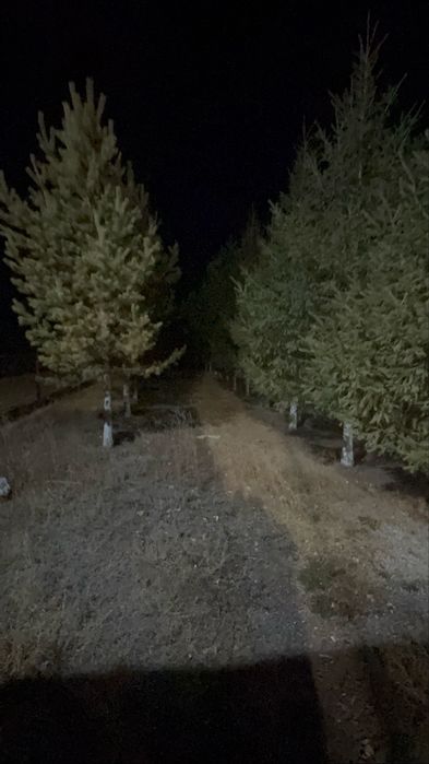 Действующий бизнес