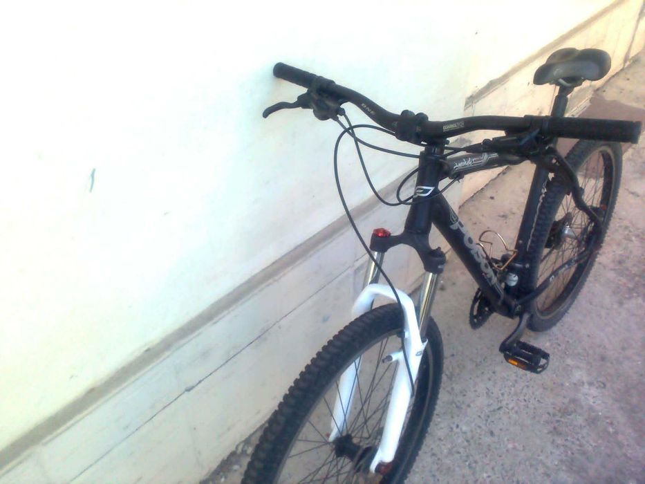 220€ Poison Cube Scitt Bulls Canyon Focus
