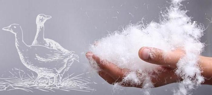 Пух-Перо Гусиное, Утиное