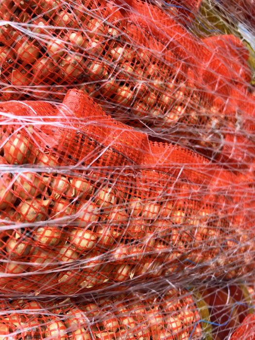 Vand arpagic diferite soiuri Stuttgarter, Sturon, Red Karmen