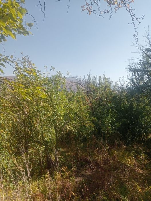 Продам дачу гТекели