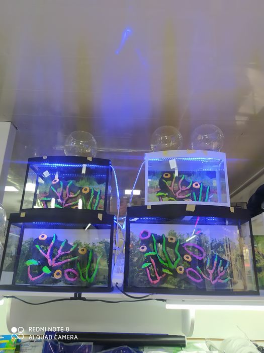 Akvarium yengi 20 litr