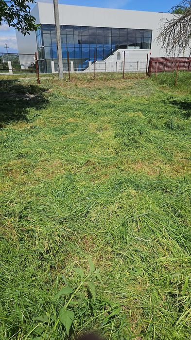 Iarba de vanzare cosita si necosita in Domnesti(Arges) si Pietrosani(Arges).Pruni, meri, nuci, stejari micuti sau mari pentru plantat in gradini.