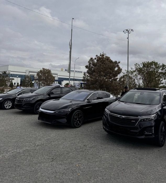 Bez Prava /Rent a Car