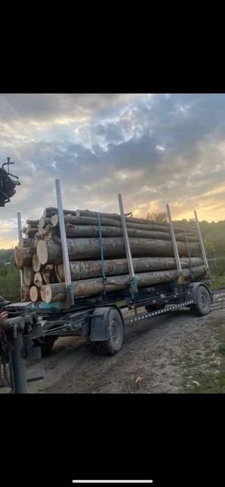 Camion forestier Man 6x6 6x4