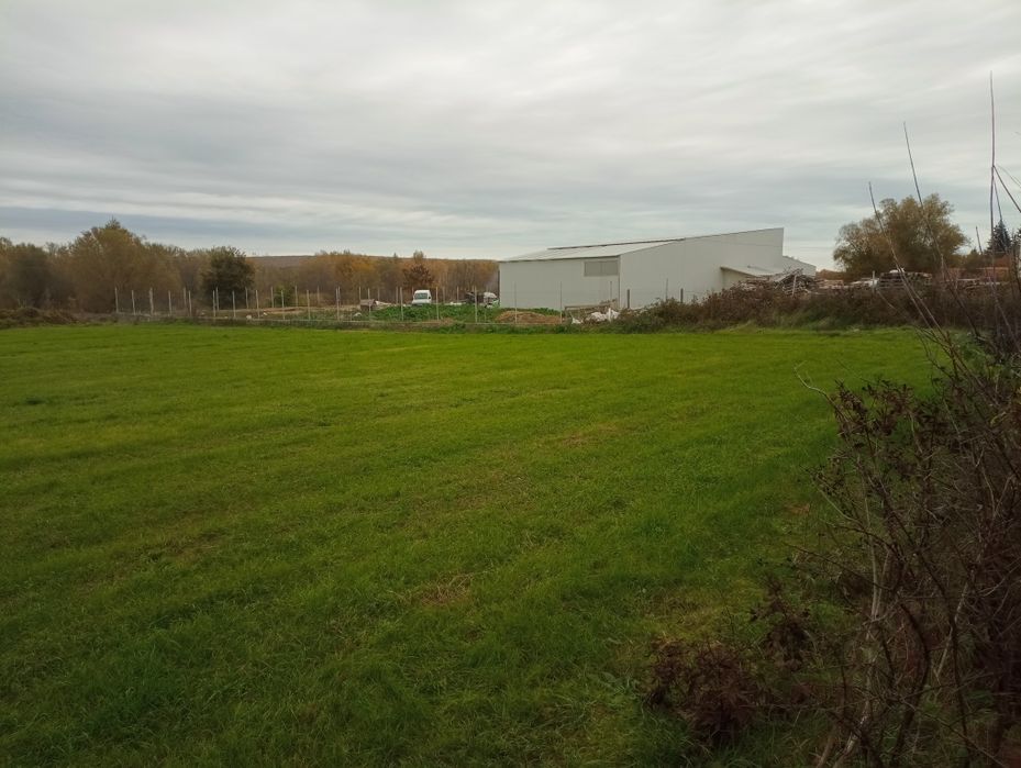 Продава се Парцел в с. Пчелник, Област Варна - 855 кв.м за 18 €/кв.м - Снимка #6