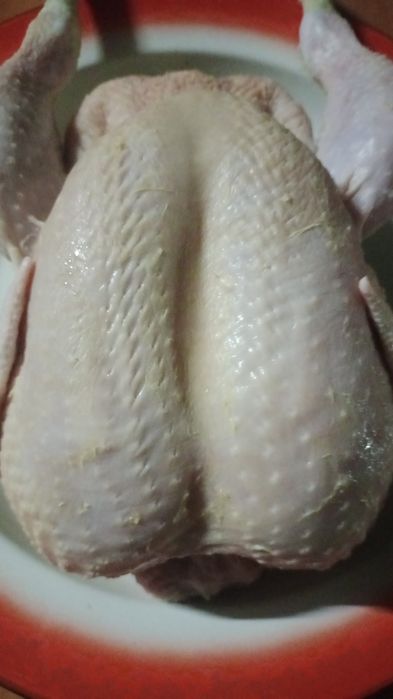 Продам тушки бройлера