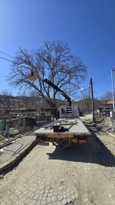 РЯЗАНЕ НА ВИСОКИ И ОПАСНИ ДЪРВЕТА 
Ако имате дърво близо до къща или к