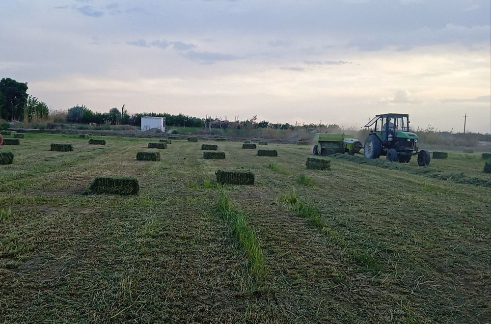 Беда пресс  30 000 сум