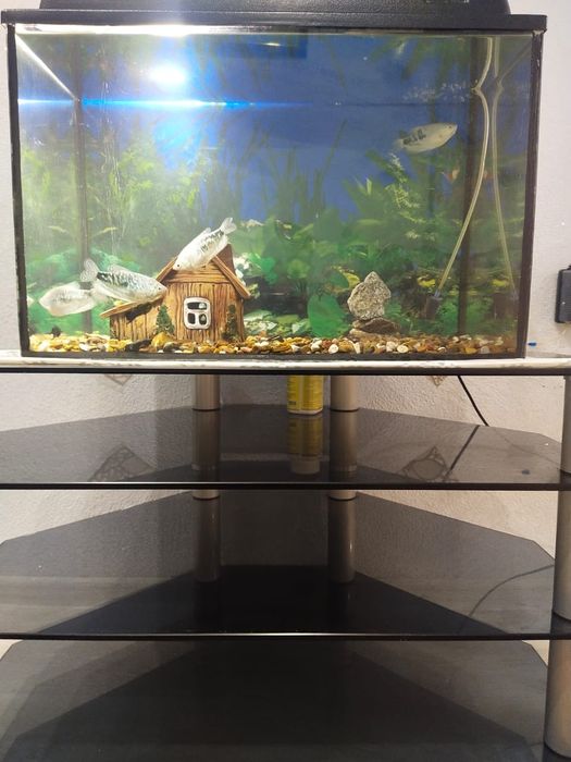 Продам аквариум с подставкой