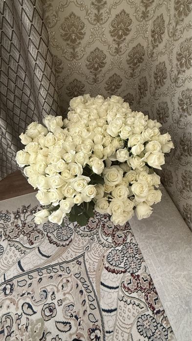 Роза белая 150+ штук