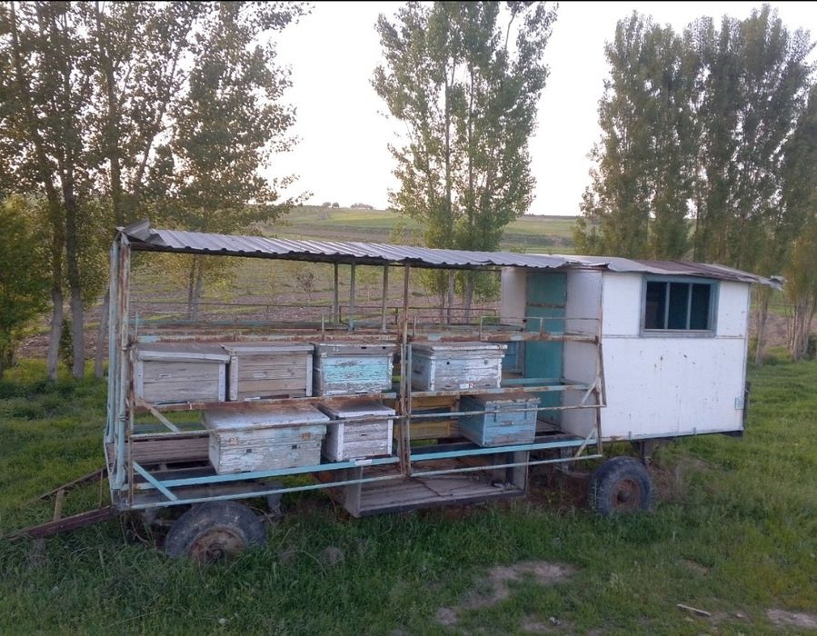 Асалари прцеп яшиклари билан сотилади