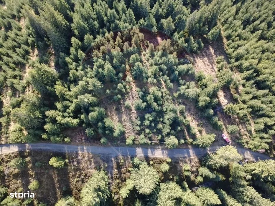 Teren 17,895mp Dorna-Arini / Prelungirea Cozănești