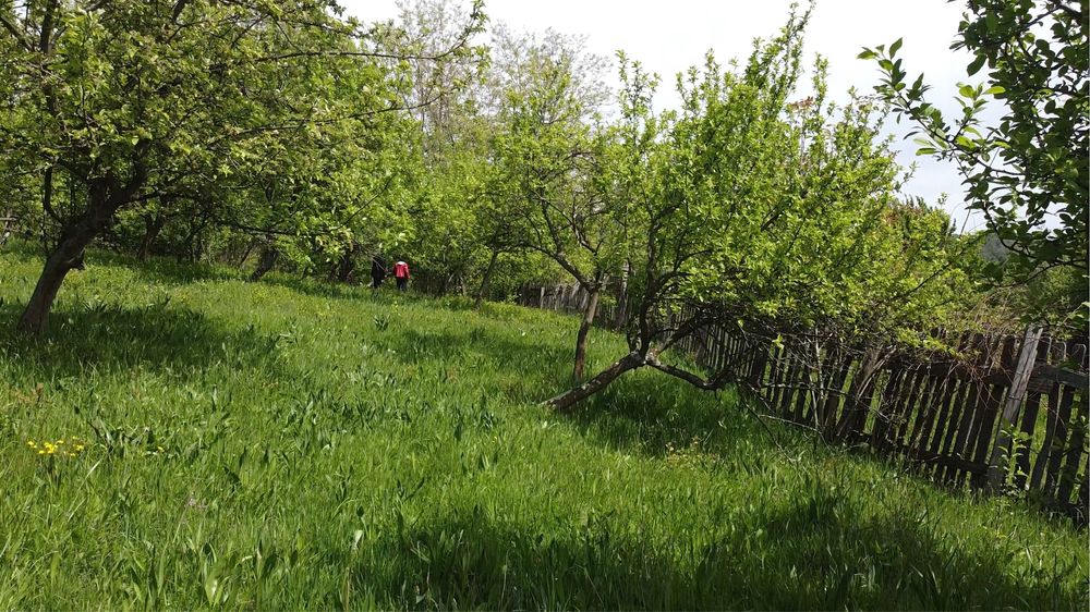 Teren de vanzare Jud. Arges, Berevoesti