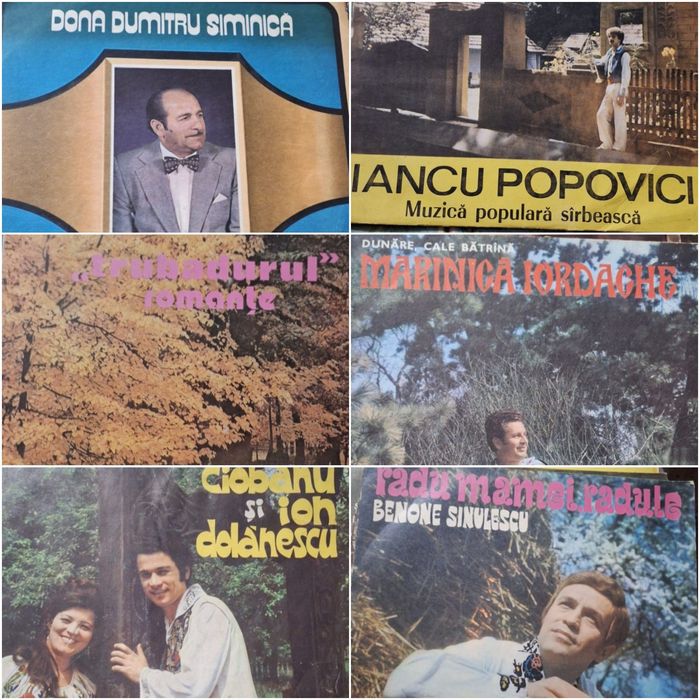 Discuri vinil interpreți români