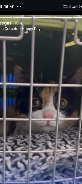 Ищем дом.Петропавловск