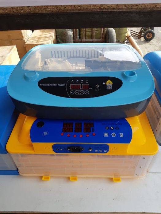 Инкубатор цифровой автомат