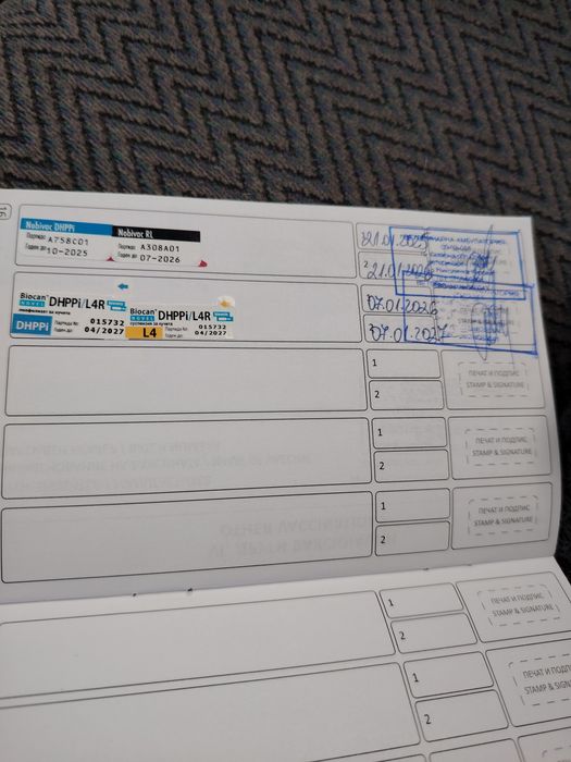 Куче на 6 м.Бигъл