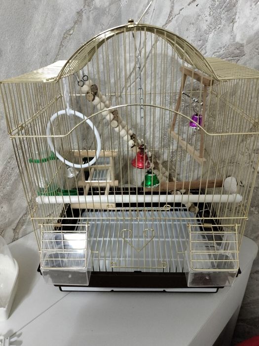 Продам клетку для попугая