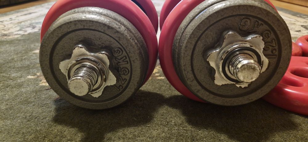 Set gatere reglabile 2×21 kg fiecare