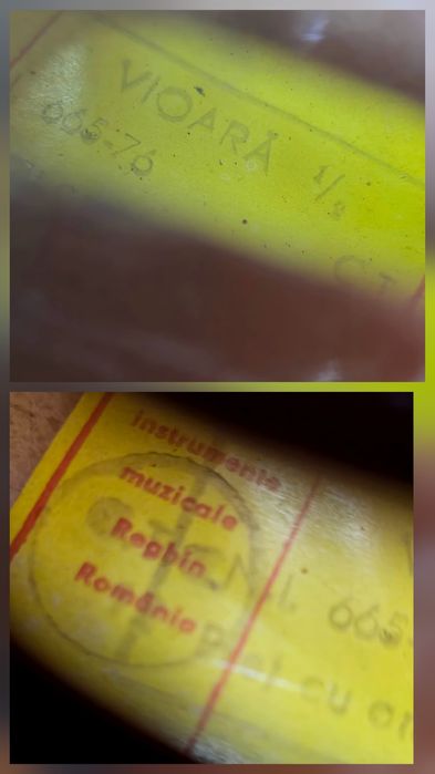 Vioara Reghin 1/2  1982