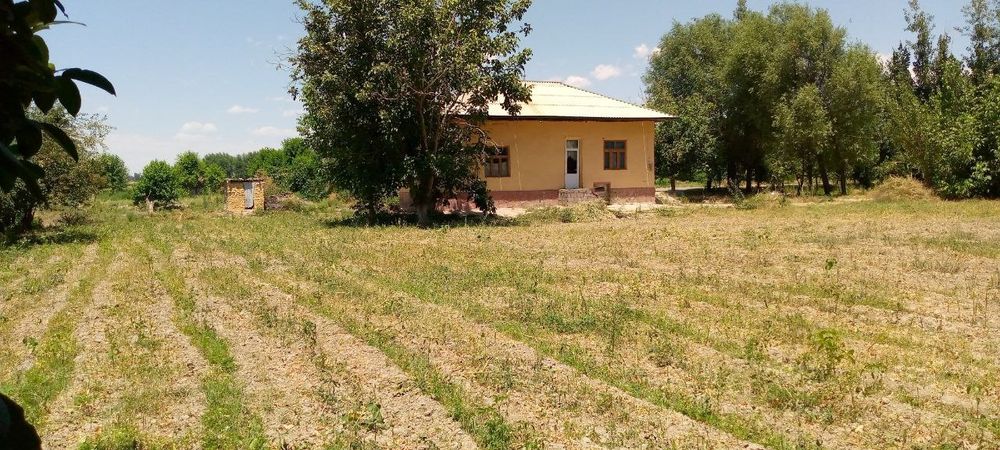 Уй жой сотаман жонбойда 13 мактаб рупарасида жойлашган