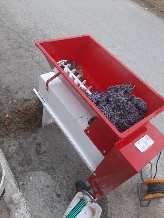 Мелене на грозде по домовете 10ст. на кг.