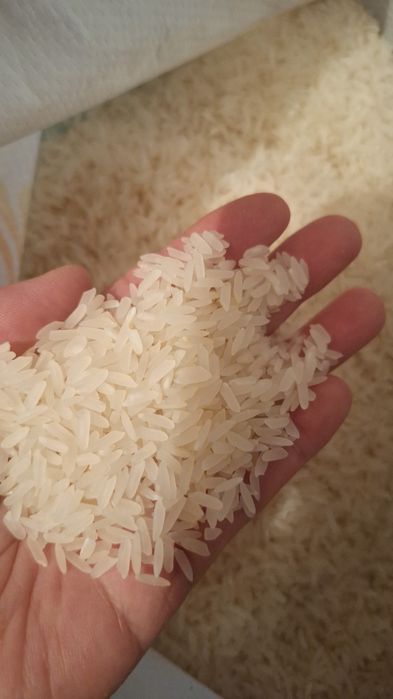 Лазер рис (күріш)