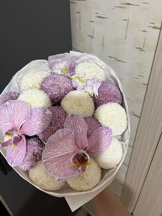 Момоко 3000тг 19күні келген кешке