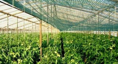 PLASA:35-40-50-90%UMBRIRE.Role 50m/100m;Latimi:2m,4m,6m,8m,10,12,14,16