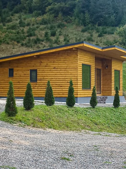 Cabana de inchiriat