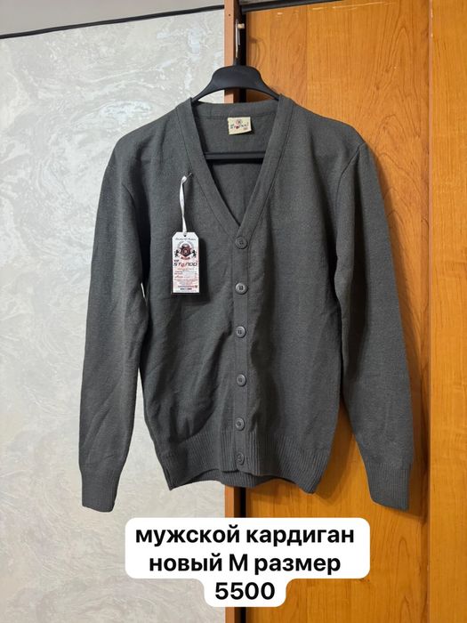 мужская   одежда