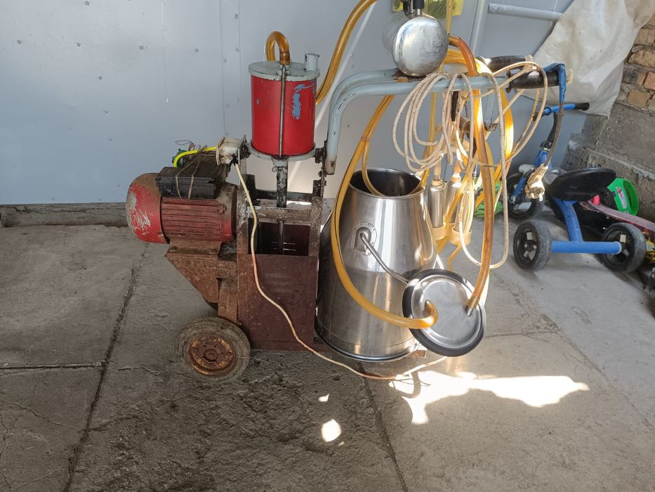 Доильный аппарат  для крс