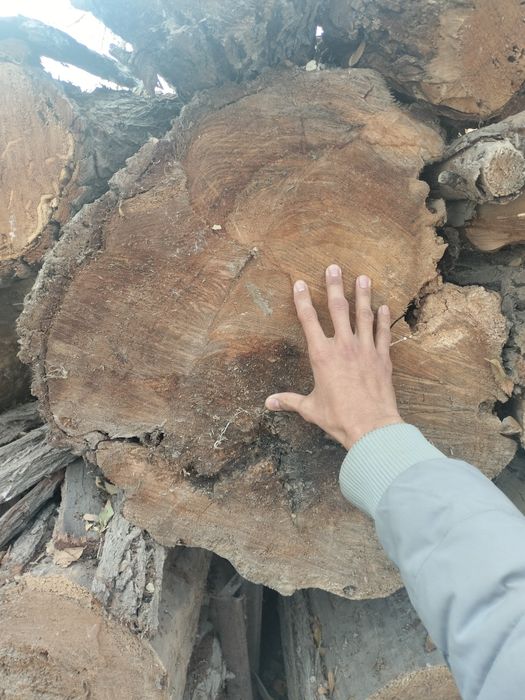 Продаётся дрова для топки.Отын Сатылатын