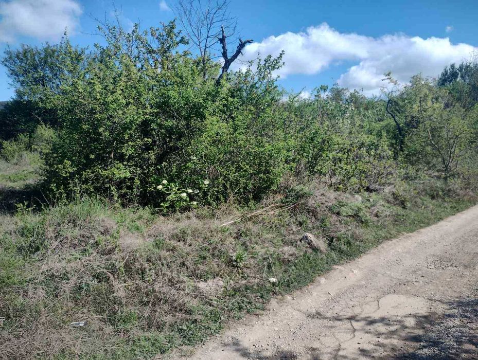 Продава се Парцел в София, Изток - 4600 кв.м за 3 €/кв.м - Снимка #1