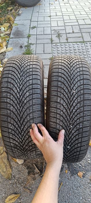 Дебица 195 55 16 Всесезонни