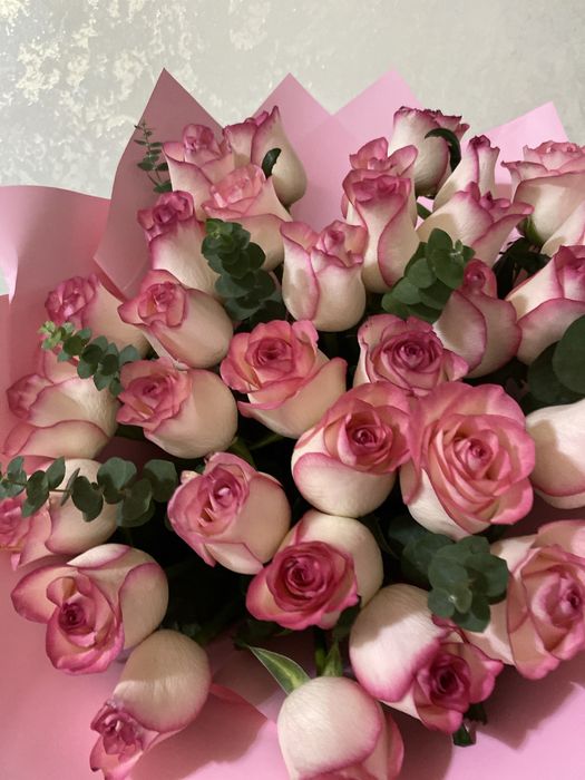 розовые розы,цветы