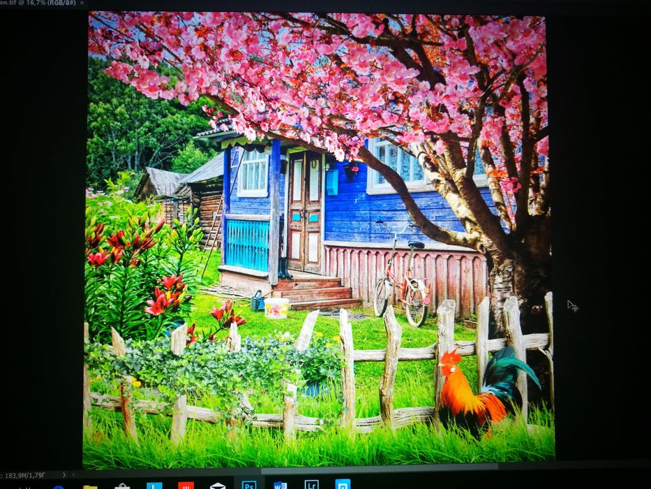 Фотофон для фотосессий